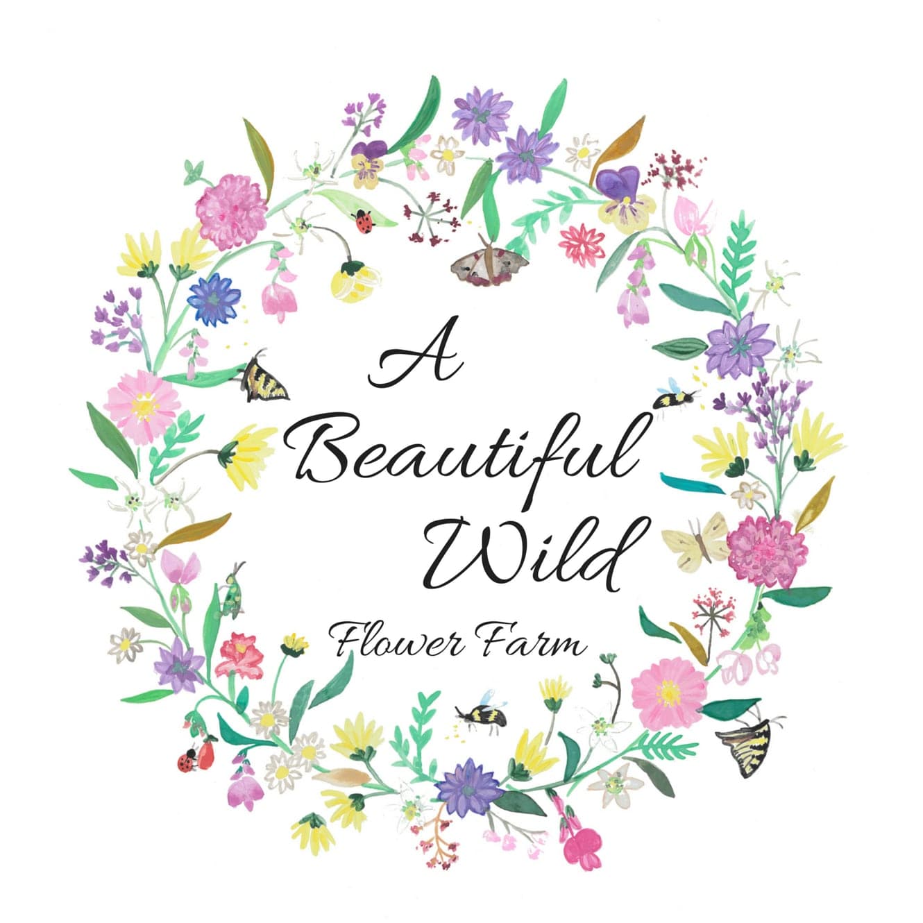 A Beautiful Wild Flower Farm in Wolfville